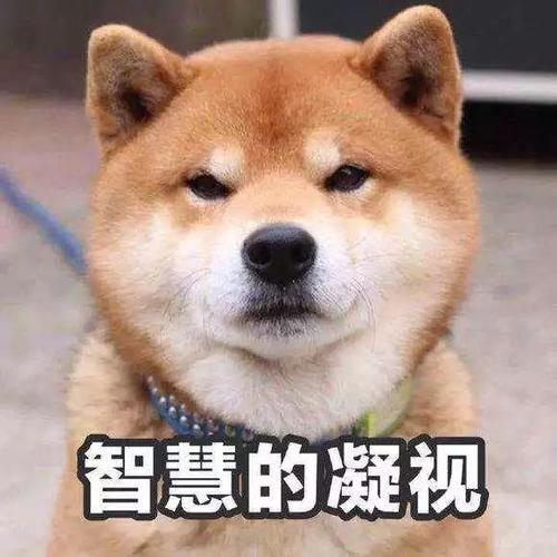 Ϊʲô˵ů²22(ͼ6)